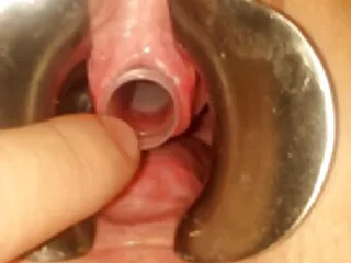 Rex. el mejor porno latino