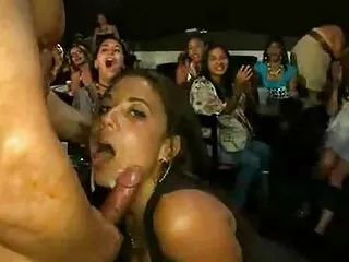 Motel Danimlav Catch porno hentai español latino