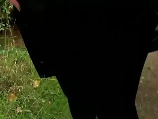 Hermosa videos de porno en español latino mitad pelo bebé mierda chica Dante